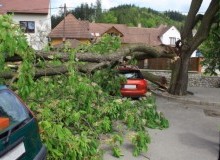 Kwikfynd Tree Cutting Services
draper