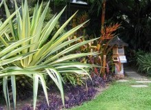Kwikfynd Tropical Landscaping
draper