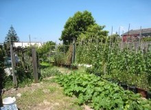 Kwikfynd Vegetable Gardens
draper